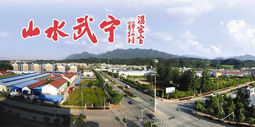 只为潮流装饰材料而生